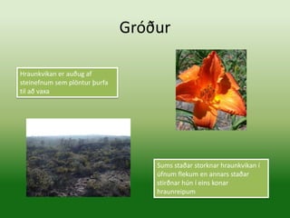 Gróður

Hraunkvikan er auðug af
steinefnum sem plöntur þurfa
til að vaxa




                                   Sums staðar storknar hraunkvikan í
                                   úfnum flekum en annars staðar
                                   stirðnar hún í eins konar
                                   hraunreipum
 