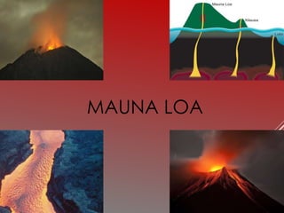 MAUNA LOA
 