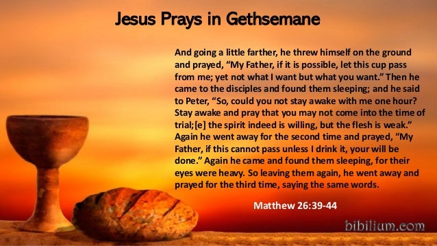 Jesus Prays in Gethsemane
And going a little farther, he threw himself on the ground
and prayed, “My Father, if it is possible, let this cup pass
from me; yet not what I want but what you want.” Then he
came to the disciples and found them sleeping; and he said
to Peter, “So, could you not stay awake with me one hour?
Stay awake and pray that you may not come into the time of
trial;[e] the spirit indeed is willing, but the flesh is weak.”
Again he went away for the second time and prayed, “My
Father, if this cannot pass unless I drink it, your will be
done.” Again he came and found them sleeping, for their
eyes were heavy. So leaving them again, he went away and
prayed for the third time, saying the same words.
Matthew 26:39-44
 