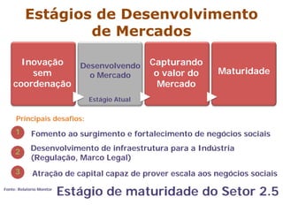 Estágio de maturidade do Setor 2.5
Estágios de Desenvolvimento
de Mercados
Inovação
sem
coordenação
Desenvolvendo
o Mercado
Capturando
o valor do
Mercado
Maturidade
Principais desafios:
Estágio Atual
1 Fomento ao surgimento e fortalecimento de negócios sociais
Desenvolvimento de infraestrutura para a Indústria
(Regulação, Marco Legal)
Atração de capital capaz de prover escala aos negócios sociais
Fonte: Relatório Monitor
2
3
 