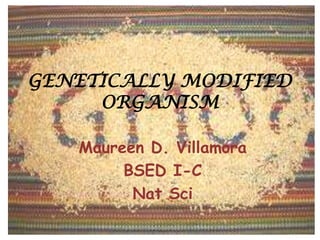 GENETICALLY MODIFIED ORGANISM Maureen D. Villamora BSED I-C Nat Sci 