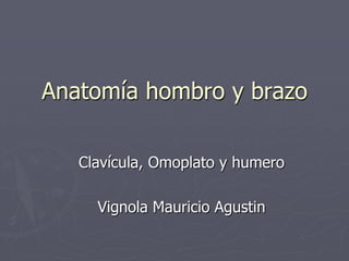 Anatomía hombro y brazo Clavícula, Omoplato y humero Vignola Mauricio Agustin 