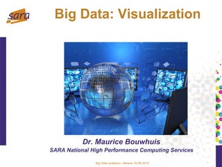 Big Data: Visualization




           Dr. Maurice Bouwhuis
SARA National High Performance Computing Services

               Big Data analytics– Almere 14-06-2012
 