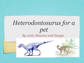 Heterodontosurus for a
         pet
   By Ariel, Maurice and Dougie
 