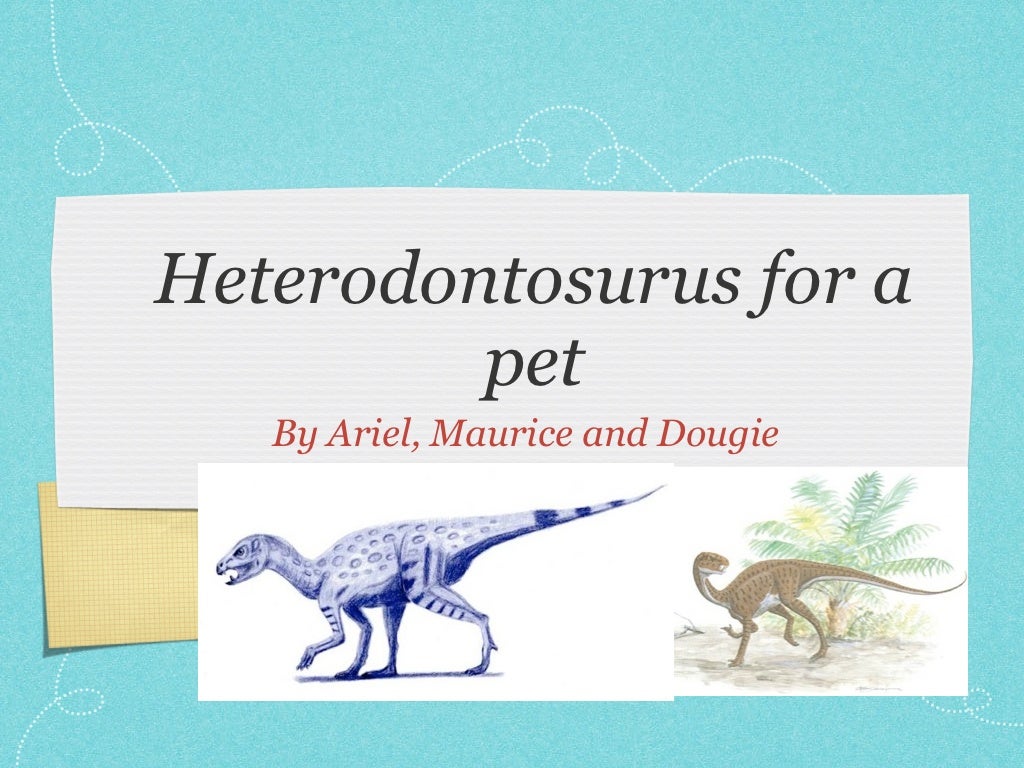 Dinosaur Report 4 Dinosaur Report 4