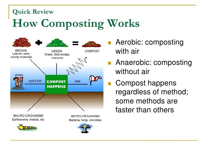 Maurice Sampspn On Site Com Composting
