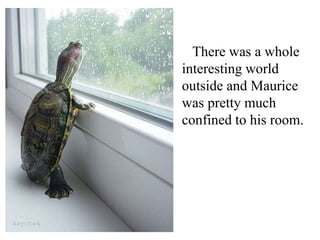 There was a whole
interesting world
outside and Maurice
was pretty much
confined to his room.

 