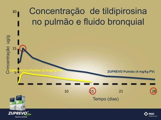 Concentração de tildipirosina 
no pulmão e fluido bronquial 
ZUPREVO Pulmão (4 mg/kg PV) 
10 21 28 
30 
15 
5 
Concentração ug/g 
15 
Tempo (dias) 
Tulatromicina Pulmão (2,5mg/kg PV) 
 