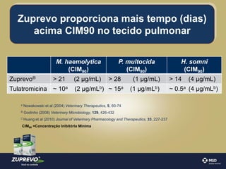 Zuprevo proporciona mais tempo (dias) 
acima CIM90 no tecido pulmonar 
M. haemolytica 
(CIM90) 
P. multocida 
(CIM90) 
H. somni 
(CIM90) 
Zuprevo® > 21 (2 μg/mL) > 28 (1 μg/mL) > 14 (4 μg/mL) 
Tulatromicina ~ 10a (2 μg/mLb) ~ 15a (1 μg/mLb) ~ 0.5a (4 μg/mLb) 
a Nowakowski et al (2004) Veterinary Therapeutics, 5, 60-74 
B Godinho (2008) Veterinary Microbiology, 129, 426-432 
C Huang et al (2010) Journal of Veterinary Pharmacology and Therapeutics, 33, 227-237 
CIM90 =Concentração Inibitória Minima 
 