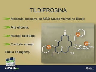 TILDIPROSINA 
Molécula exclusiva da MSD Saúde Animal no Brasil; 
Alta eficácia; 
Manejo facilitado; 
Conforto animal 
(baixa dosagem). 
 
