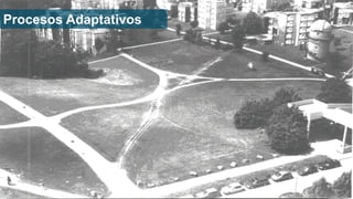 Procesos Adaptativos
mauriciobitencourt.com64
 