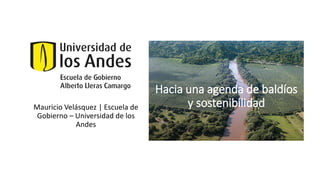 Hacia una agenda de baldíos
y sostenibilidadMauricio Velásquez | Escuela de
Gobierno – Universidad de los
Andes
 