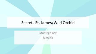 Secrets St. James/Wild Orchid
Montego Bay
Jamaica
 