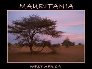 MAURITANIA WEST AFRICA 