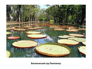 Ботанический сад Памплемус  