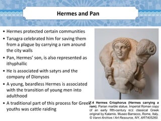7.4 Hermes Criophorus (Hermes carrying a
ram). Parian marble statue. Imperial Roman copy
of an early fifth-century BCE classical Greek
original by Kalamis. Museo Barracco, Rome, Italy.
© Vanni Archive / Art Resource, NY, ART405260.
Hermes and Pan
• Hermes protected certain communities
• Tanagra celebrated him for saving them
from a plague by carrying a ram around
the city walls
• Pan, Hermes’ son, is also represented as
ithyphallic
• He is associated with satyrs and the
company of Dionysos
• A young, beardless Hermes is associated
with the transition of young men into
adulthood
• A traditional part of this process for Greek
youths was cattle raiding
 