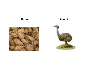 Ñame   ñandú
 