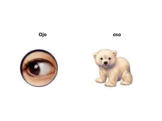 Ojo   oso
 