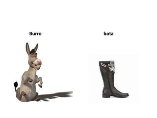 Burro   bota
 