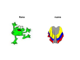 Rana   ruana
 