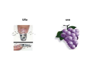 Uña   uva
 
