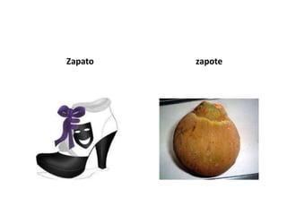 Zapato   zapote
 