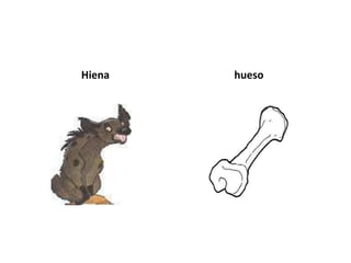 Hiena   hueso
 