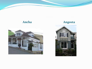 Ancha   Angosta
 