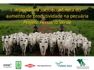 Importância socioeconômica do
aumento de produtividade na pecuária
Projeto Pecuária Verde
 