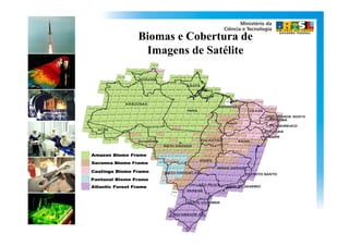 Biomas e Cobertura de
 Imagens de Satélite
 