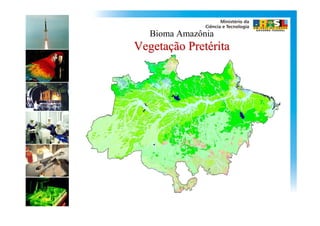 Bioma Amazônia
Vegetação Pretérita
 