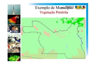 Exemplo de Município
  Vegetação Pretérita
 
