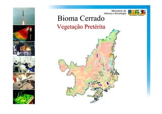 Bioma Cerrado
Vegetação Pretérita
 