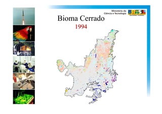 Bioma Cerrado
    1994
 
