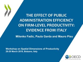 THE EFFECT OF PUBLIC
ADMINISTRATION EFFICIENCY
ON FIRM-LEVEL PRODUCTIVITY:
EVIDENCE FROM ITALY
Milenko Fadic, Paula Garda and Mauro Pisu
Workshop on Spatial Dimensions of Productivity
28-29 March 2019, Bolzano, Italy
 
