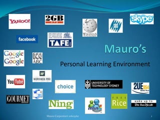 Mauro’s Personal Learning Environment Mauro Carpentieri 10605160 1 