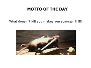 MOTTO OF THE DAY   What doesn´t kill you makes you stronger  !!!!!!!!  