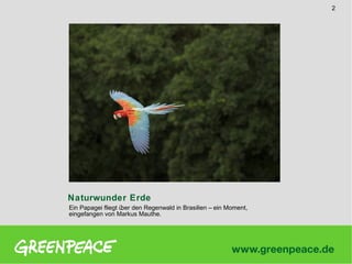 2

Naturwunder Erde
Ein Papagei fliegt ü den Regenwald in Brasilien – ein Moment,
ber
eingefangen von Markus Mauthe.

 