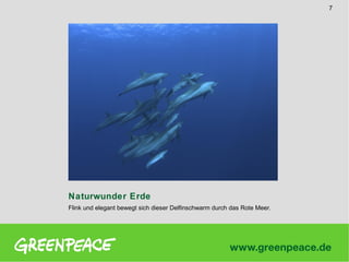 7

Naturwunder Erde
Flink und elegant bewegt sich dieser Delfinschwarm durch das Rote Meer.

 