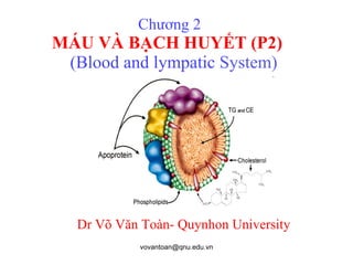 Chương 2  MÁU VÀ BẠCH HUYẾT (P2)    (Blood and lympatic  System) Dr Võ Văn Toàn- Quynhon University 