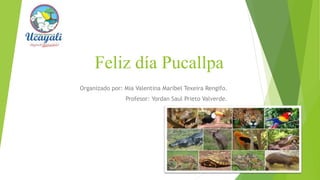 Feliz día Pucallpa
Organizado por: Mia Valentina Maribel Texeira Rengifo.
Profesor: Yordan Saul Prieto Valverde.
 