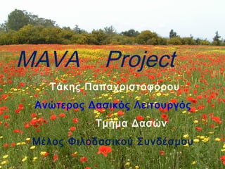 MAVA Project 
Τάκης Παπαχριστοφόρου 
Ανώτερος Δασικός Λειτουργός 
Τμήμα Δασών 
Μέλος Φιλοδασικού Συνδέσμου 
 