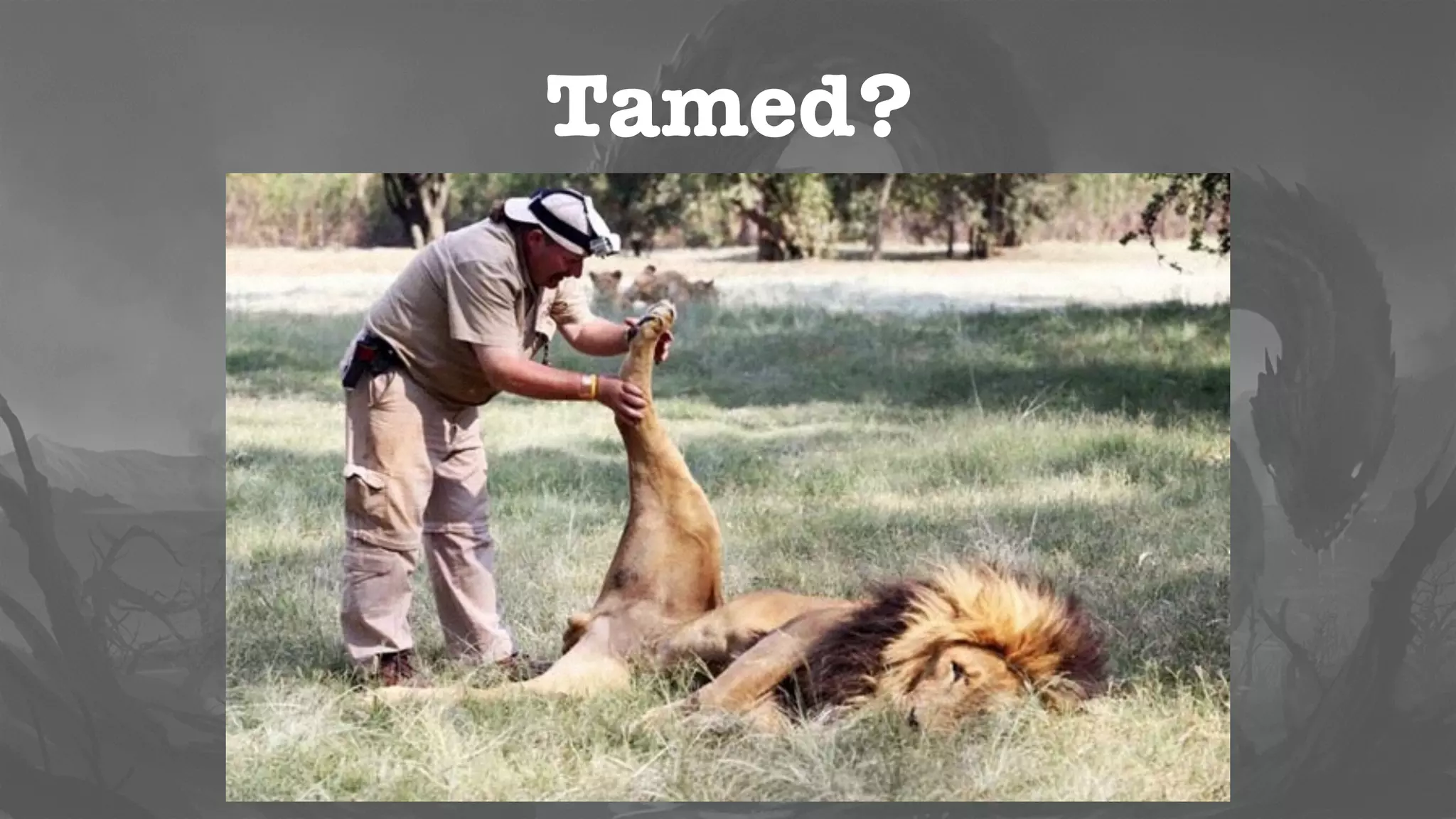 I can’t see my changes!
• That’s why the ﬁrst thing you learn is mvn
install!
• Places the artifact in your local repository
• All the other projects can use it now
 