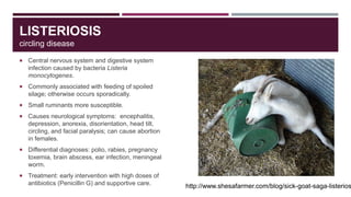 On overview of disease conditions in small ruminants Slide 11