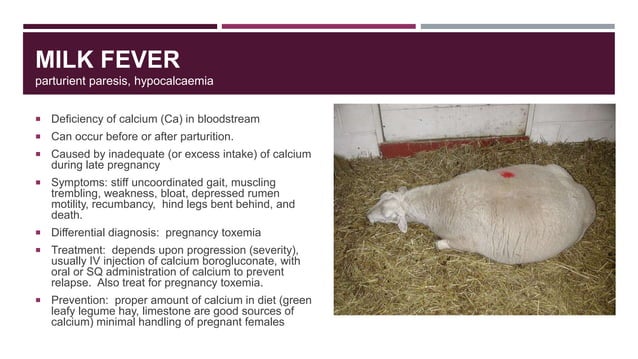 Interpreting Of Blood Work In Small Ruminants – GEYE