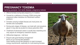 PREGNANCY TOXEMIA
lambing paralysis, twin lamb disease, pregnancy ketosis
 Affects females during late pregnancy (1-3 wee...
