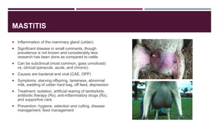 MASTITIS
 Inflammation of the mammary gland (udder).
 Significant disease in small ruminants, though
prevalence is not k...