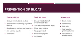 PREVENTION OF BLOAT
Pasture bloat
 Gradual introduction to pasture
 Restrict intake by feeding hay before
grazing
 Mixe...