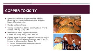 COPPER TOXICITY
 Sheep are most susceptible livestock species.
Goats are more susceptible than cattle and pigs.
Breed dif...