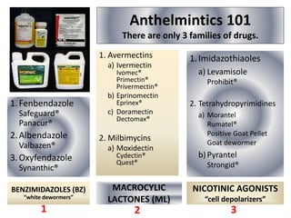 Anthelmintics 101
There are only 3 families of drugs.
BENZIMIDAZOLES (BZ)
“white dewormers”
1.Fenbendazole
Safeguard®
Panacur®
2.Albendazole
Valbazen®
3.Oxyfendazole
Synanthic®
MACROCYLIC
LACTONES (ML)
1. Avermectins
a) Ivermectin
Ivomec®
Primectin®
Privermectin®
b) Eprinomectin
Eprinex®
c) Doramectin
Dectomax®
2. Milbimycins
a) Moxidectin
Cydectin®
Quest®
NICOTINIC AGONISTS
“cell depolarizers”
1.Imidazothiaoles
a) Levamisole
Prohibit®
2. Tetrahydropyrimidines
a) Morantel
Rumatel®
Positive Goat Pellet
Goat dewormer
b) Pyrantel
Strongid®
1 32
 